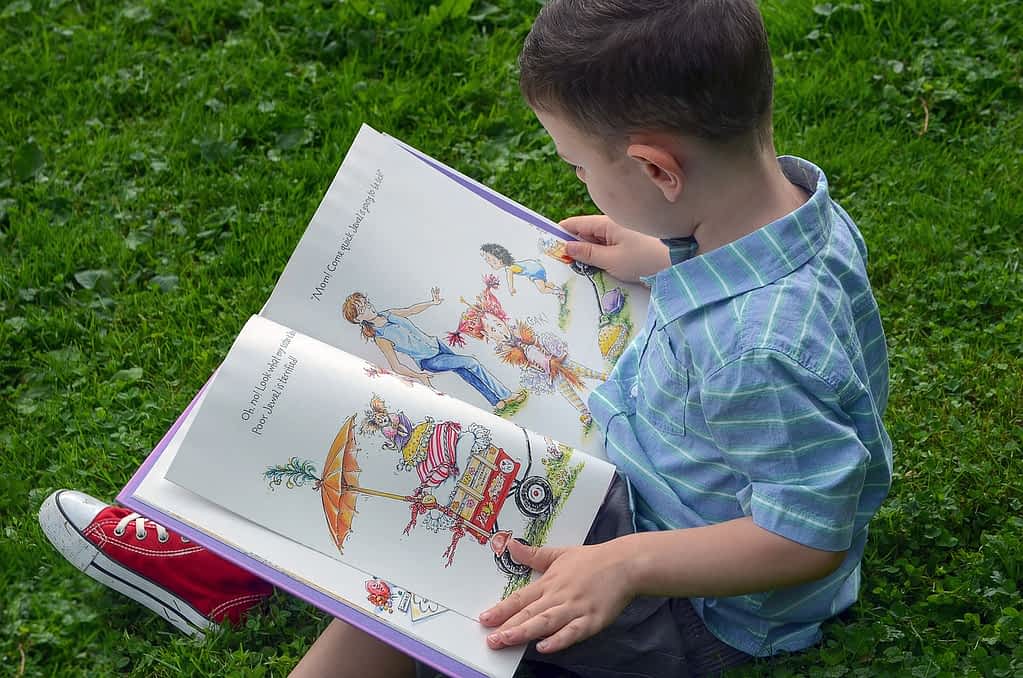 boy, child, male, young, reading, nature, kid, cute, summer, book, curiosity, attentive, pictures, children's book, childhood, adorable, green book, green books, green reading, curiosity, curiosity, curiosity, curiosity, curiosity, children's book, children's book