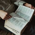 Person Hands Holding Book