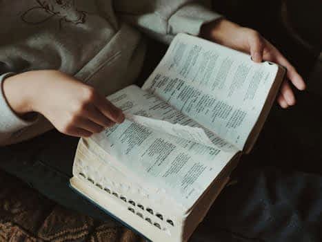 Person Hands Holding Book